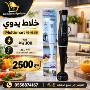 Bras Mixeur 300W Multismart MS-HB2111