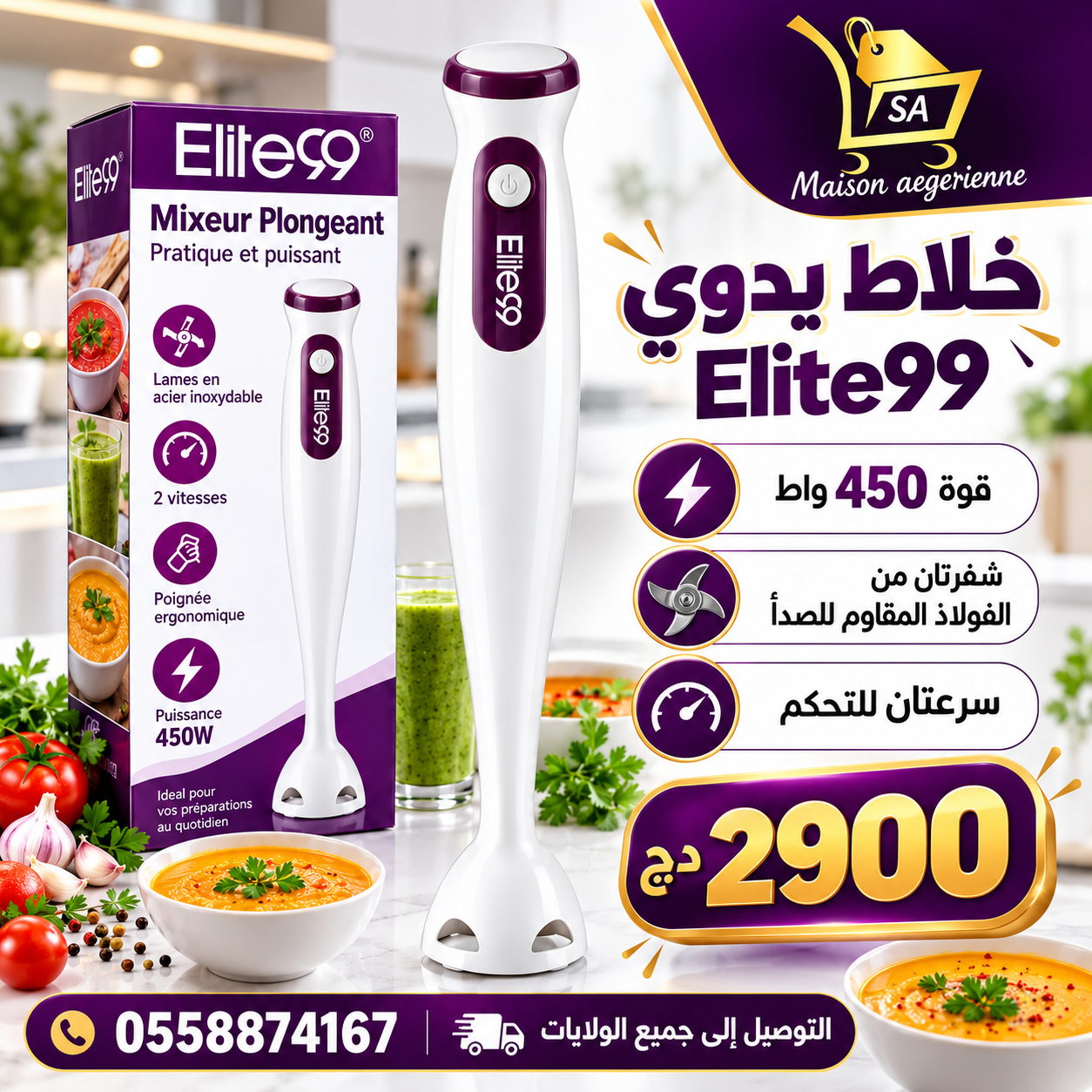 Bras mixeur Elite99 plastique 450W ELT-2308