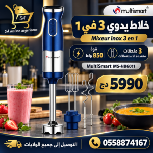 Mixeur inox 3 en 1 – 850W MultiSmart MS-HB6011